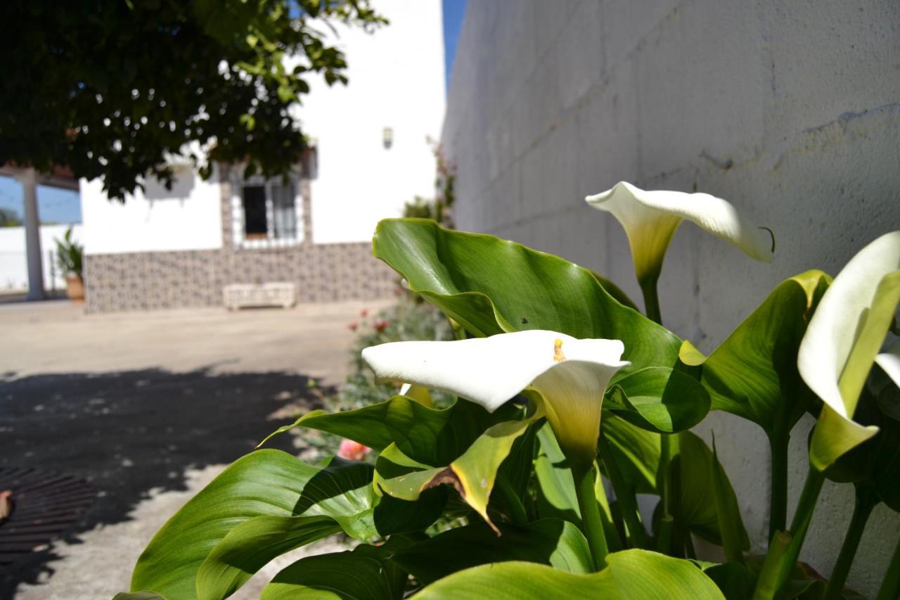 La Orquidea De * Córdoba