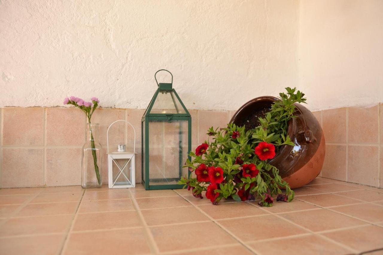 La Orquidea De Córdoba